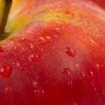 Things to Consider When Starting Cancer Treatment