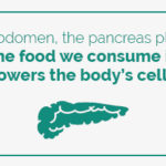 Best Foods to Eat for Your Pancreas